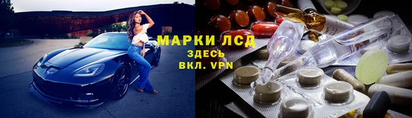 mdpv Бородино