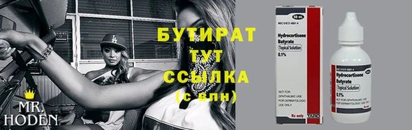 mdpv Бородино