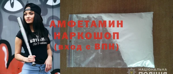 mdpv Бородино