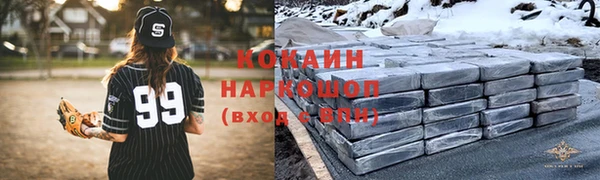 mdpv Бородино
